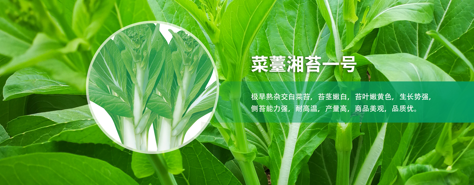 华体会官网首页